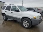 2007 Ford Escape XLT