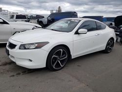 Honda Accord EXL salvage cars for sale: 2010 Honda Accord EXL