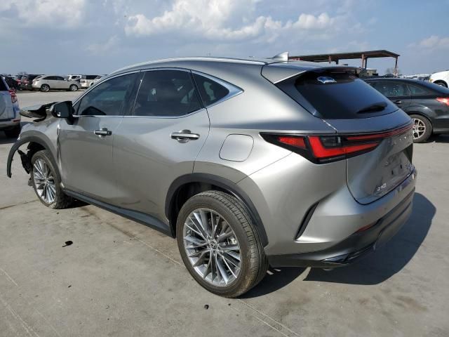 2022 Lexus NX 350H