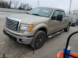 Salvage cars for sale at Cahokia Heights, IL auction: 2012 Ford F150 Supercrew