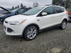 2014 Ford Escape SE for sale in Graham, WA