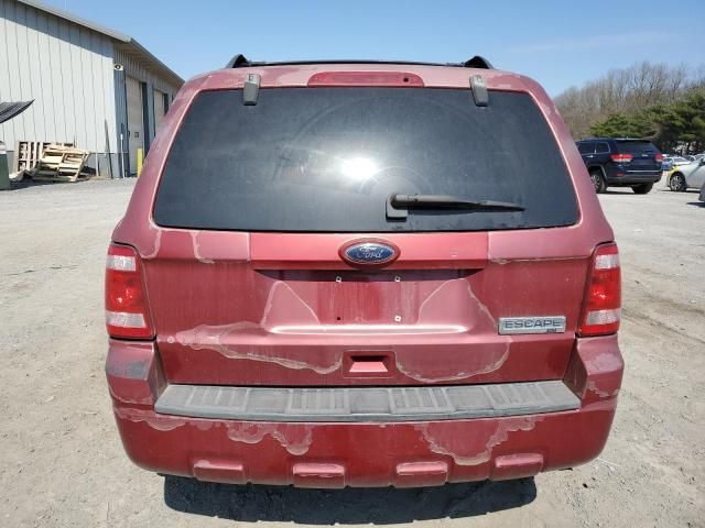 2008 Ford Escape XLT