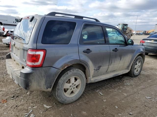 2010 Ford Escape XLT