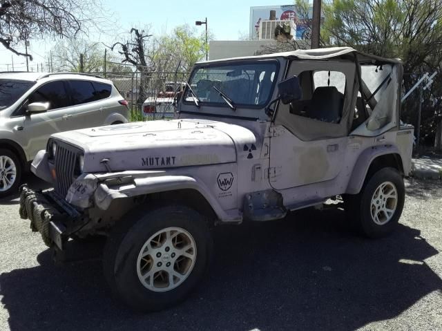 1991 Jeep Wrangler / YJ Sahara