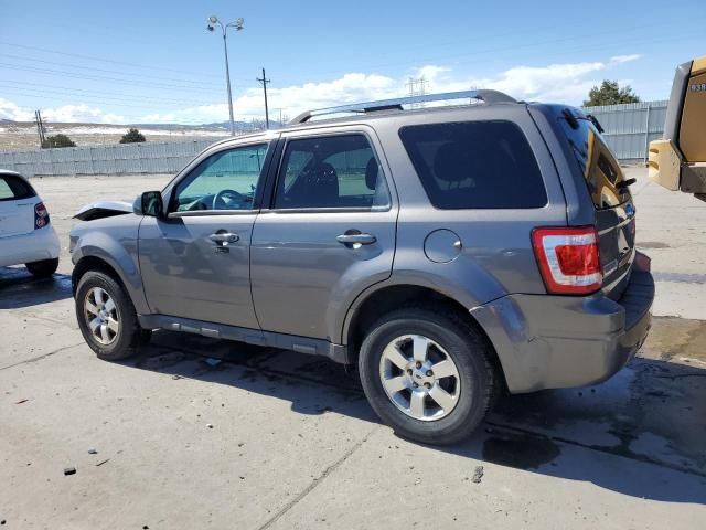 2011 Ford Escape Limited