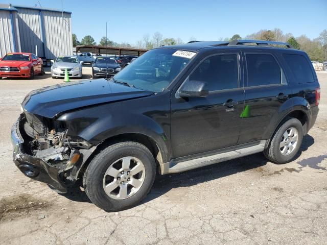 2011 Ford Escape Limited