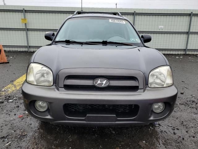 2005 Hyundai Santa FE GLS