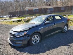 Salvage cars for sale at Finksburg, MD auction: 2016 KIA Optima LX