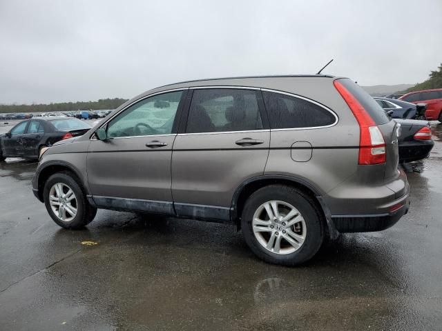 2010 Honda CR-V EXL