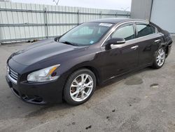 Nissan Maxima S salvage cars for sale: 2012 Nissan Maxima S