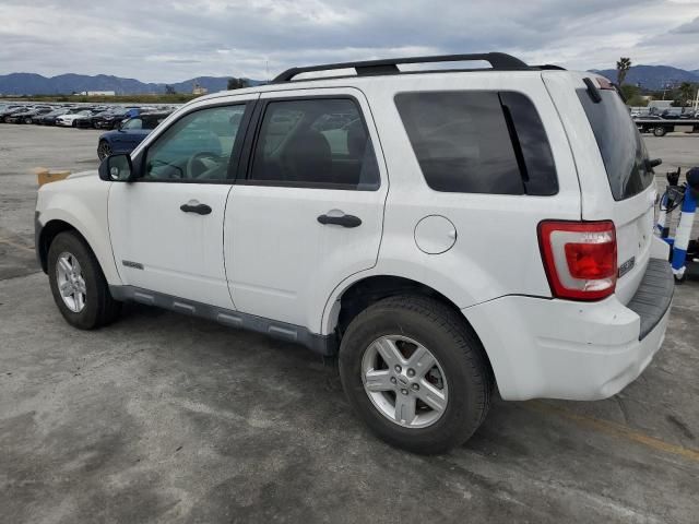 2008 Ford Escape HEV