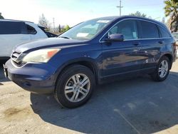 Salvage cars for sale from Copart San Martin, CA: 2010 Honda CR-V EXL