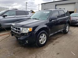 Salvage cars for sale at Chicago Heights, IL auction: 2010 Ford Escape XLT