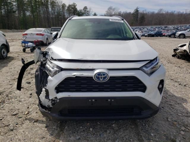 2024 Toyota Rav4 XLE Premium