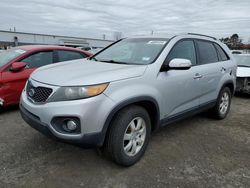 Salvage cars for sale from Copart New Britain, CT: 2011 KIA Sorento Base