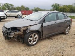 Salvage cars for sale at Theodore, AL auction: 2014 Ford Focus SE