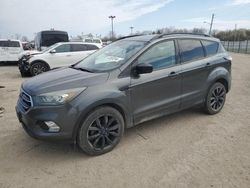 Salvage cars for sale at Indianapolis, IN auction: 2017 Ford Escape SE