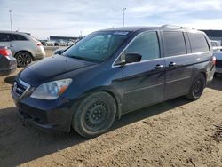 Honda salvage cars for sale: 2007 Honda Odyssey EXL