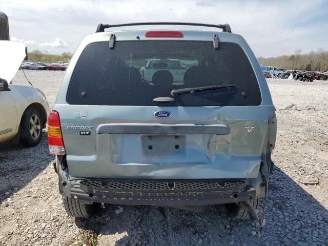 2007 Ford Escape XLT