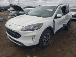 Ford Escape salvage cars for sale: 2021 Ford Escape SEL