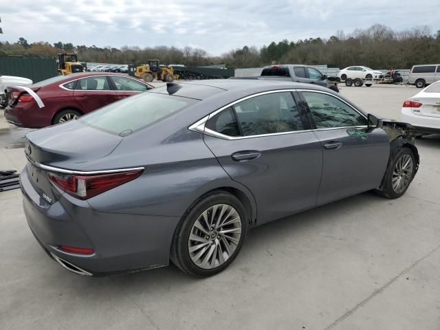 2019 Lexus ES 350