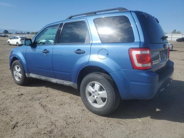 2009 Ford Escape XLT