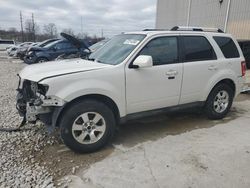 Salvage SUVs for sale at auction: 2009 Ford Escape Limited