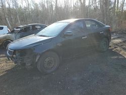 Salvage cars for sale from Copart Ontario Auction, ON: 2012 KIA Forte EX