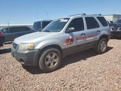 Vehiculos salvage en venta de Copart Phoenix, AZ: 2005 Ford Escape XLT