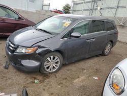 Salvage cars for sale at Albuquerque, NM auction: 2014 Honda Odyssey EX
