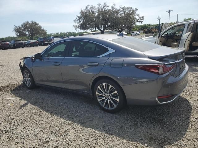 2021 Lexus ES 300H