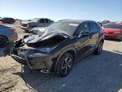 Salvage cars for sale at Earlington, KY auction: 2019 Lexus NX 300 Base