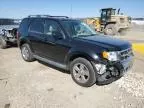 2010 Ford Escape Limited