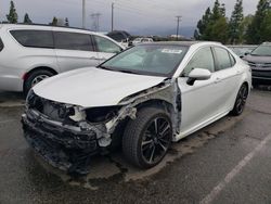 Salvage cars for sale at Rancho Cucamonga, CA auction: 2019 Toyota Camry XSE