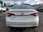 2017 Hyundai Sonata ECO