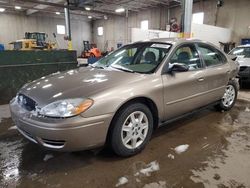 Salvage cars for sale from Copart Blaine, MN: 2005 Ford Taurus SE