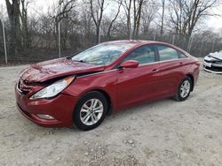 Salvage cars for sale at Cicero, IN auction: 2013 Hyundai Sonata GLS