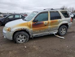 Salvage cars for sale from Copart London, ON: 2007 Ford Escape Limited