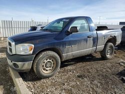 Dodge Vehiculos salvage en venta: 2007 Dodge RAM 1500 ST