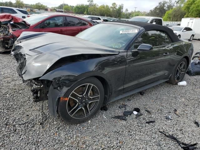 2019 Ford Mustang