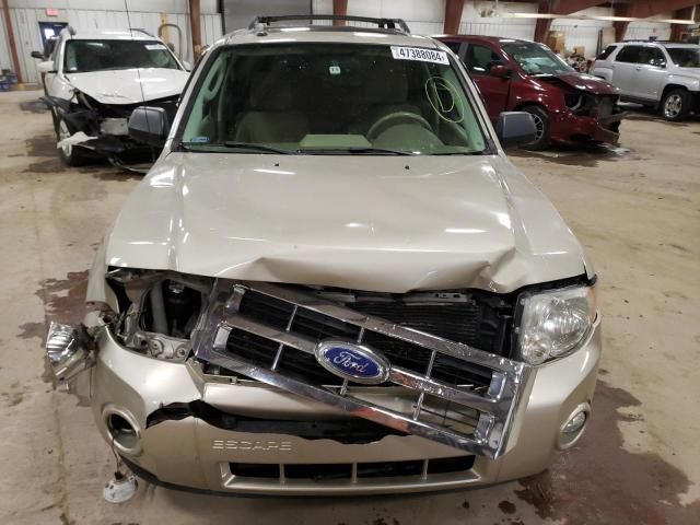 2012 Ford Escape XLT