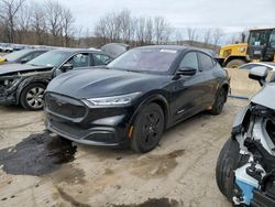Salvage cars for sale from Copart Marlboro, NY: 2022 Ford Mustang MACH-E California Route 1