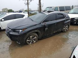 Salvage cars for sale from Copart San Martin, CA: 2021 Lexus NX 300H Base