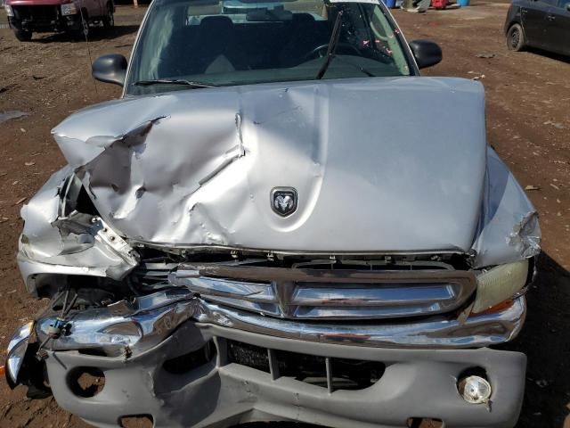 2004 Dodge Dakota Quad SLT