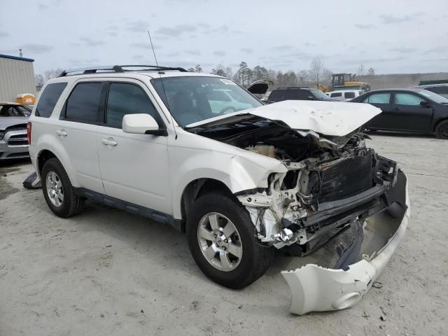 2011 Ford Escape Limited