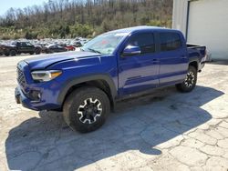 Salvage cars for sale at Hurricane, WV auction: 2023 Toyota Tacoma Double Cab