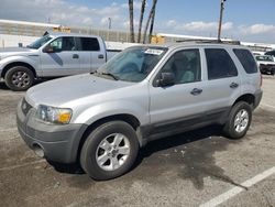 Salvage cars for sale at Van Nuys, CA auction: 2007 Ford Escape XLT