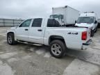 2007 Dodge Dakota Quad SLT