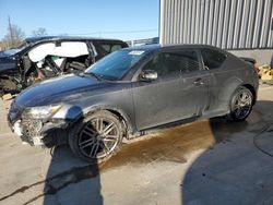 Salvage cars for sale at Lawrenceburg, KY auction: 2012 Scion TC