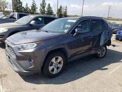 Salvage cars for sale from Copart Rancho Cucamonga, CA: 2019 Toyota Rav4 XLE